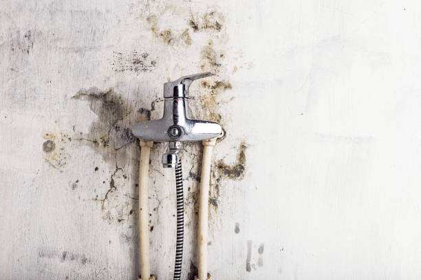 Best Mold Removal Process  in Taft Southwest, TX