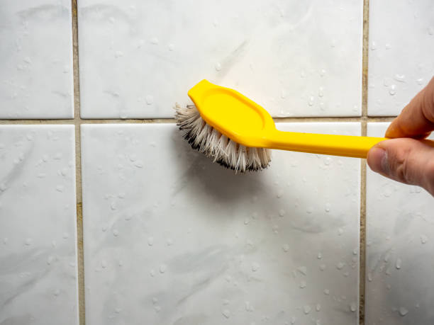 Mold Testing and Removal in Taft Southwest, TX