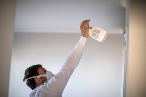 Best Fast Mold Removal  in Taft Southwest, TX