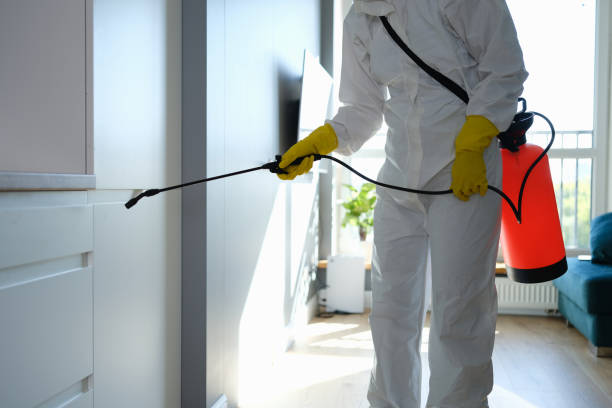 Mold Removal and Inspection in Taft Southwest, TX