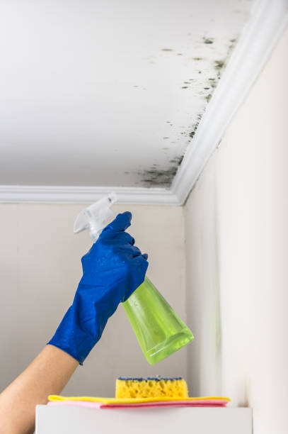 Best Mold Testing  in Taft Southwest, TX